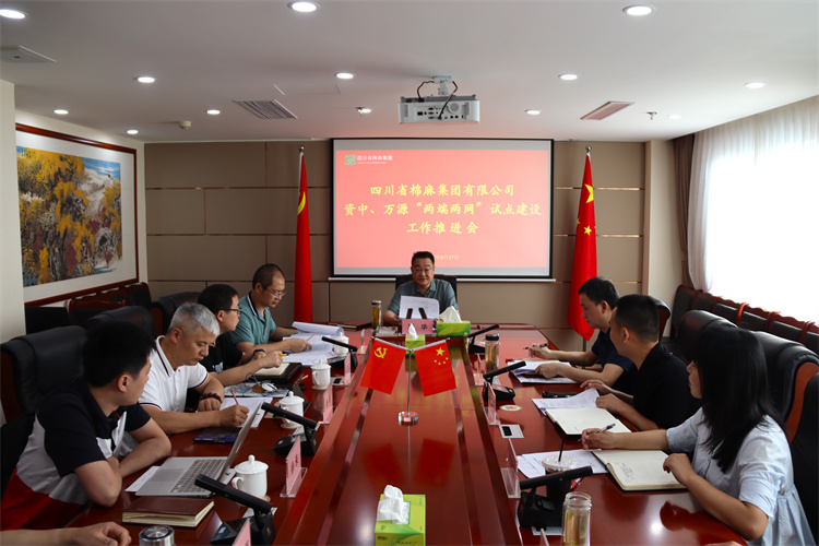 鄧華主持召開資中、萬源“兩端兩網(wǎng)”試點建設(shè)工作推進會